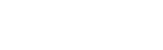 Business NSW Footer logo